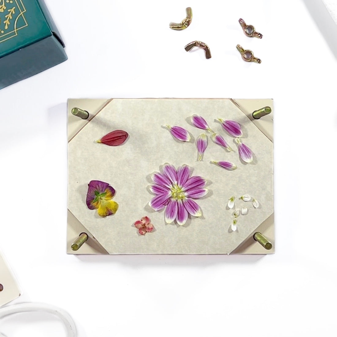 How To Use The Flower Press In The September 2022 Subscription Box