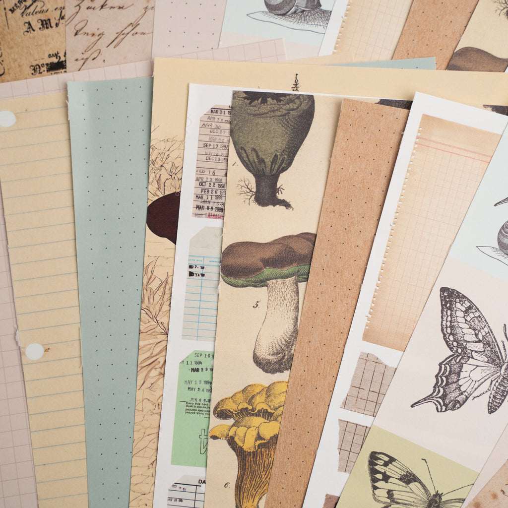 Bonnies Fave Collage Papers - Archer and Olive