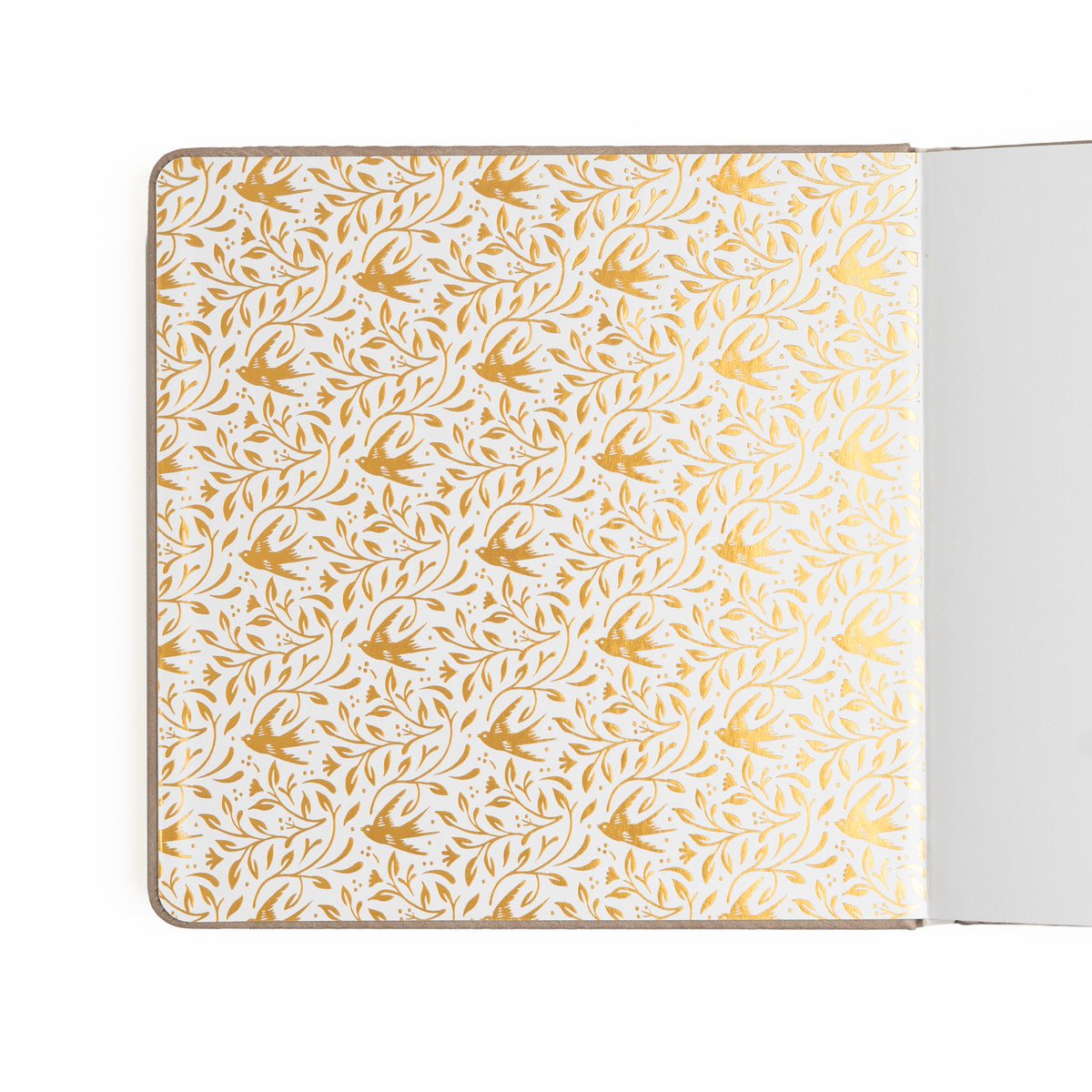 Songbird: Dot Grid Notebook - Archer and Olive