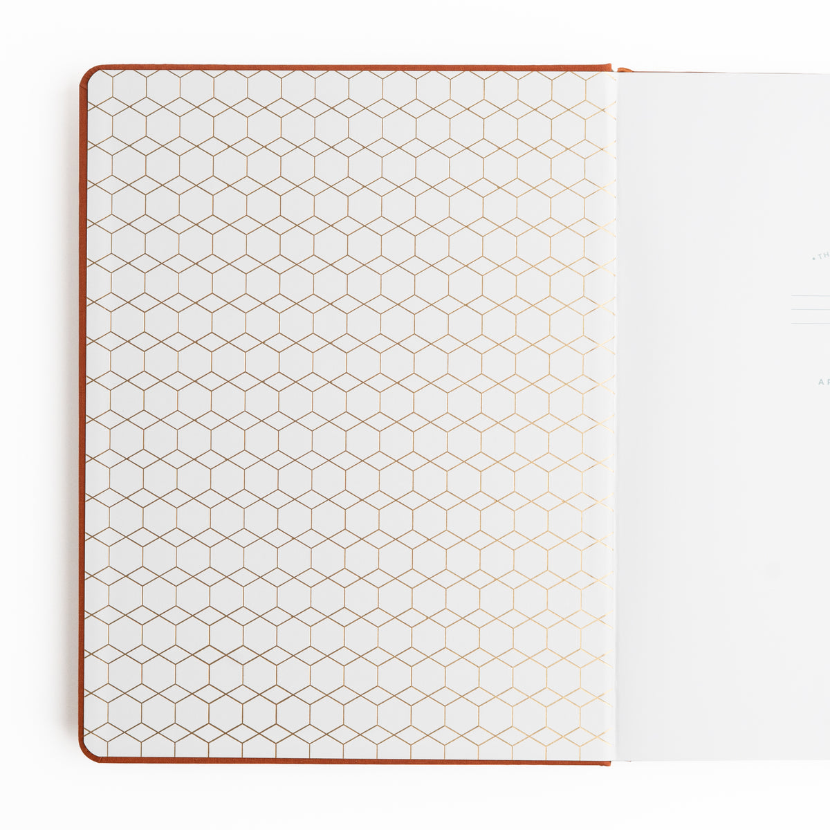 Keeper of Bees in Rust | Books