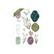 Printable Sticker: Snowdrops - Archer and Olive