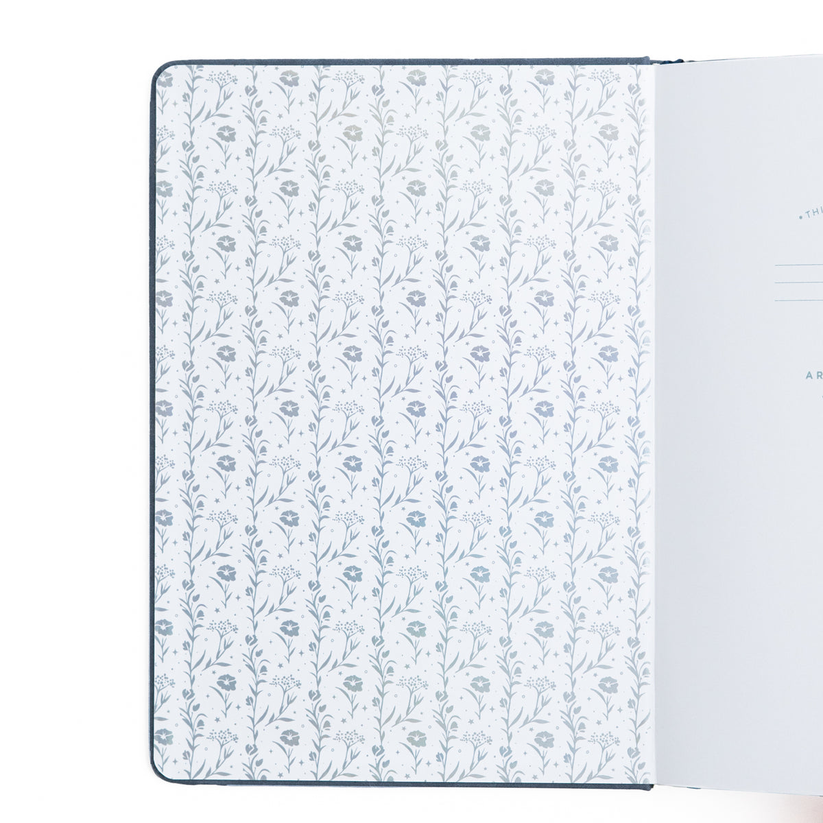 Moonlit Garden | Books