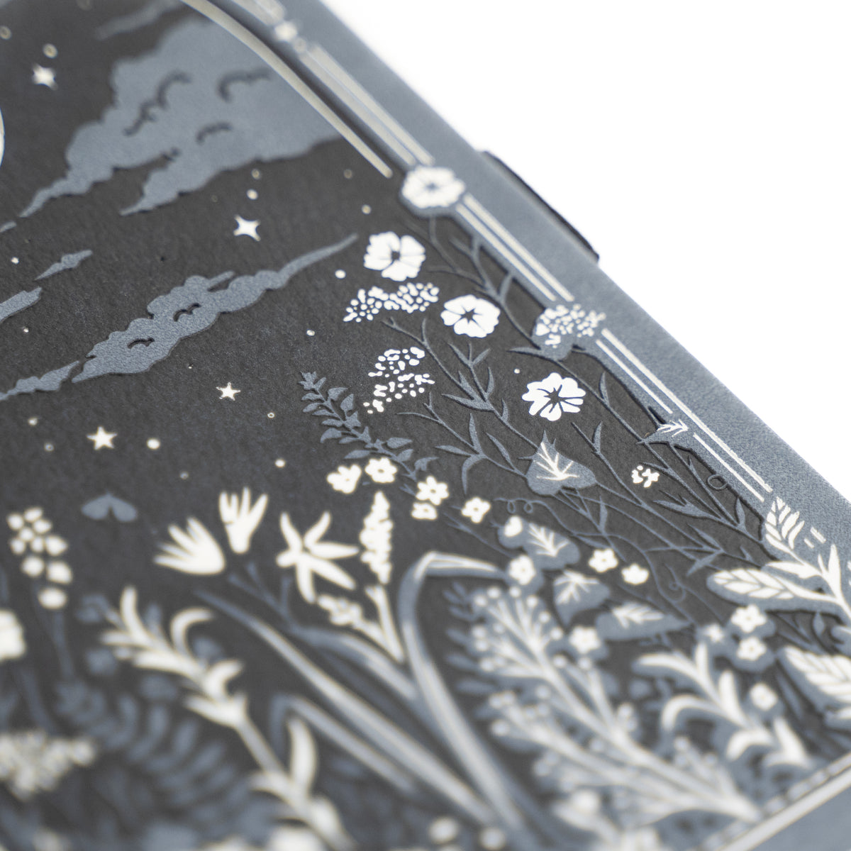 Moonlit Garden | Books