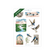 Swallows: Printable Sticker - Archer and Olive